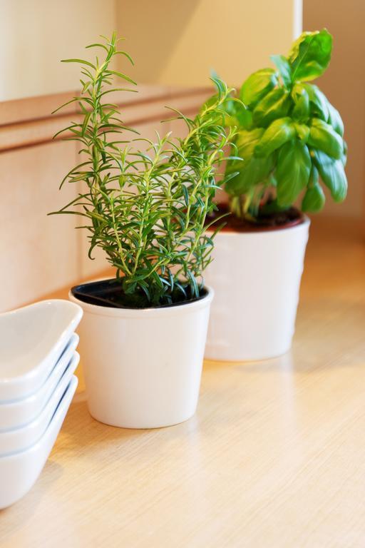 Apartament Sophie Sopot Ngoại thất bức ảnh